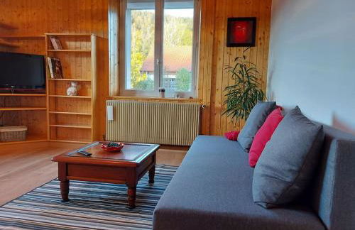 Bel appartement dans une ferme Vosgienne - Foto 19