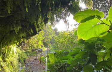 Casa Žerotín - Foto 36