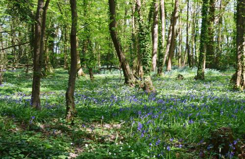 Twisly North Lodge - Photo 34