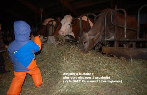 Chalet Vue sous cet Angles - Foto 41