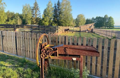 Farma Puchałowo - Foto 76