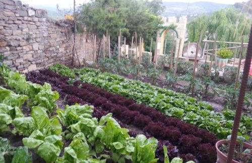 Las Bodegas De Claveria - Foto 6