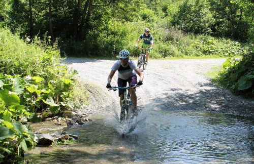 Ferienhaus Henneseeblick - Lake - View - Terrace - Hils - Wood - WIFI - Foto 14