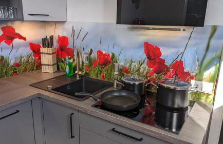 Ferienwohnung im Kontor Penzlin - Foto 16