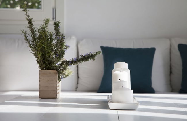 Plan B Holidays - Foto 43