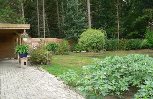 Ferienhaus Zum grünen Holz - Foto 16