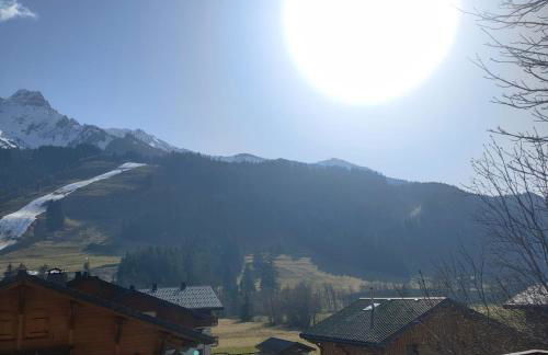 Chalet l Abondance - Photo 21