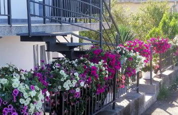 Beautyful sea view 6 luxury studio Danijela - Foto 7