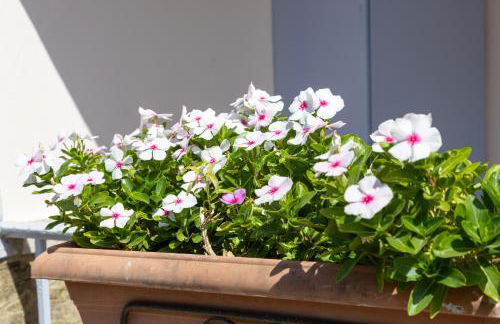 Liakos' Apartments - Foto 65