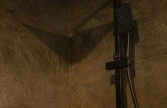 Suite Amazonie de luxe avec balnéo - Foto 17