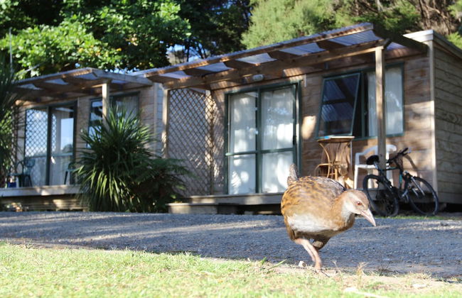 Russell - Orongo Bay Holiday Park - Photo 4