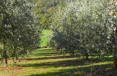 Appartamenti con cucina nelle colline toscane - Foto 48