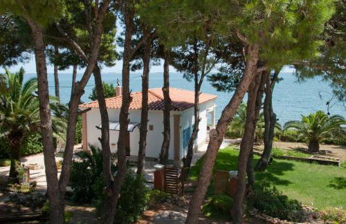 Sargantana Blava - Foto 65