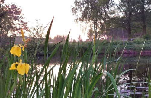 Agroturystyka Pasynki 44 - Foto 36