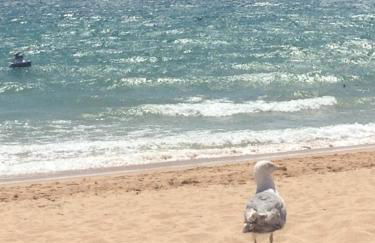 Praia dos Salgados - Vila das Lagoas - Foto 42