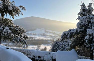 Zielony Dom - Foto 4