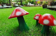 Villa da Apa - Foto 72