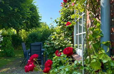 Haus 94- Whg 2 - Foto 6