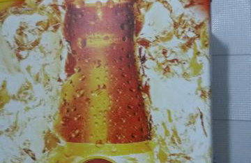 CASA DE PRAIA NO MIAI DE CIMA, CORURIPE 90 metros da praia - Foto 18