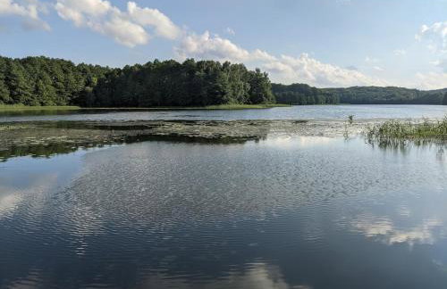 Dom Warmiński - Foto 9