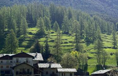 Highlander - Appartamento Charmant con Vista e Spazio Esterno - Horizon Vacanze - Photo 12