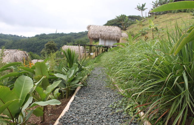 encanto Toscano - Photo 13