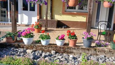 Apartmani Ruza - Foto 2, Garden