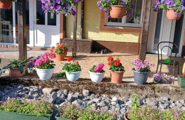 Apartmani Ruza - Foto 2