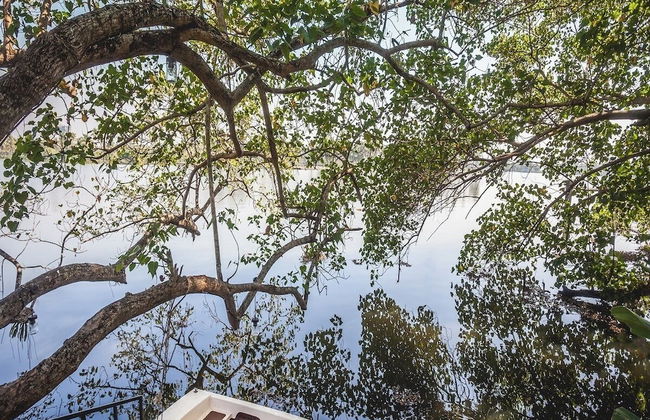 976 Panangad - Foto 9