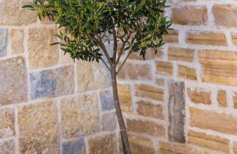 Villa Bukovica - Foto 16