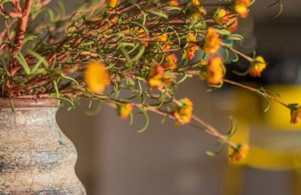 Best Seaview Attica - Photo 19