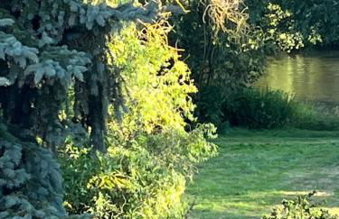 Ferienwohnung Ederblick - Foto 19