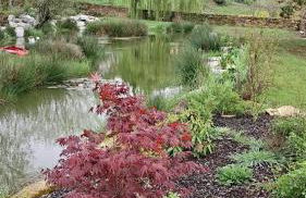 Casa Grande de Láncara - Foto 19