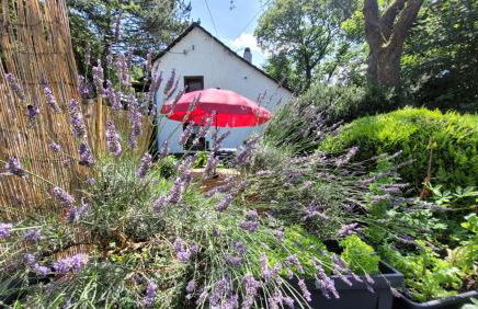 Haus im Hanfbachtal - Foto 43