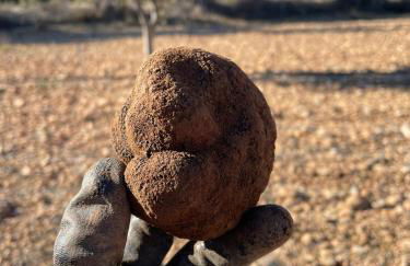 Masia La Casablanca - Foto 41