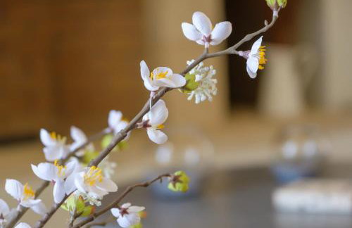 Trochalo Villas 2 - Foto 59