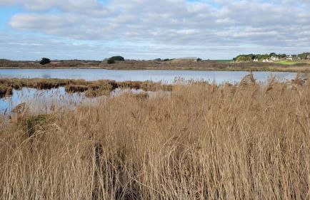T3 “Groix“- 50 m de la plage de Fort Bloqué/Ploemeur - Foto 27