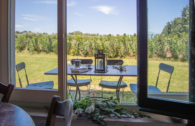 Tenuta San Calogero - Foto 42