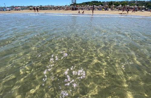 Appartamenti Le Porte del Gargano - Foto 46