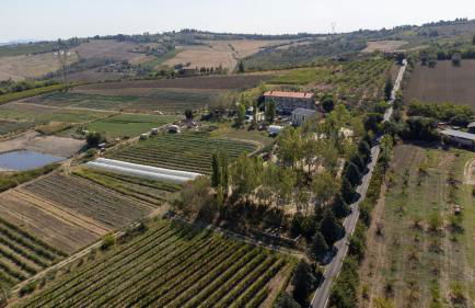 Bio Fattoria Mula D'Oro - biofattoriamuladoro it - Organic Food, Nature & Relax - Foto 31