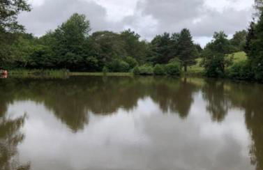 Chalet autonome avec étang pleine nature - Foto 15