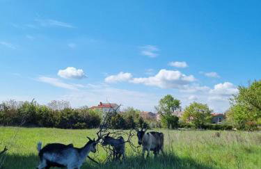 Apartment Sunrise, coastal Istra, Pula Duga Uvala Pavićini - Photo 55