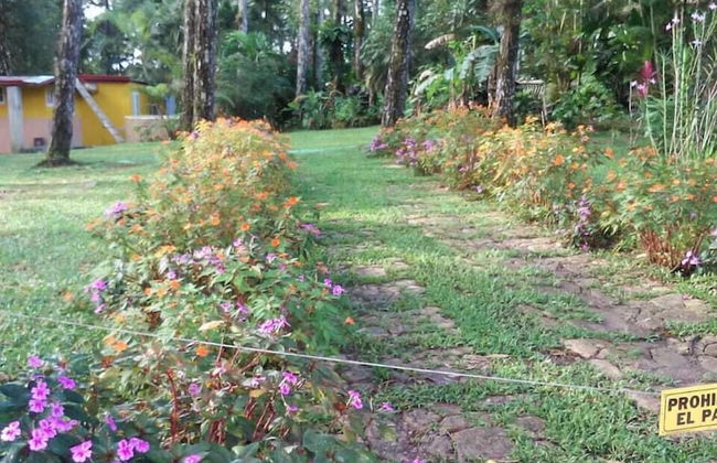 El Nido Cerro Azul - Foto 46