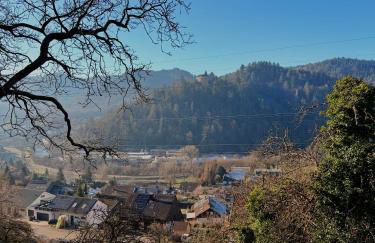 alexas forest hideaway - Foto 28