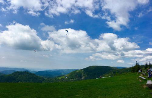 Blackforest Apartment - Foto 27