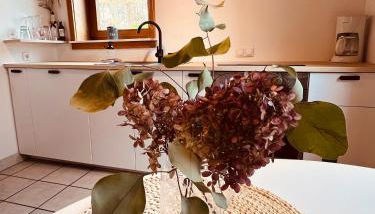 Ferienwohnung Derscheid - Foto 3