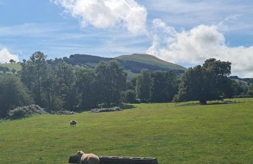 Shepherd's Hut in heart of the Brecon Beacons - Photo 5