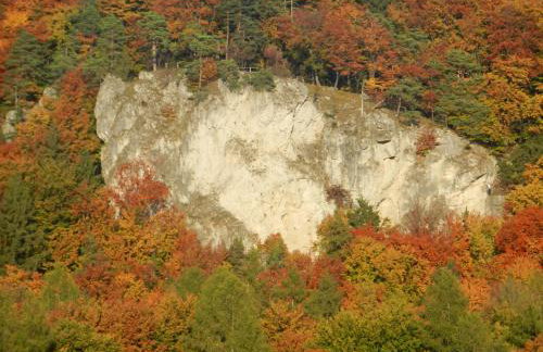 Ferienwohnungen Porisch - Foto 20