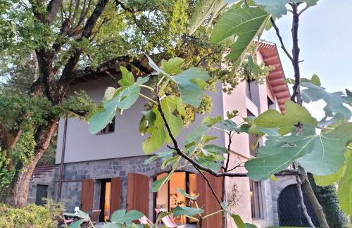 Les Planes de Viladrau - Foto 40