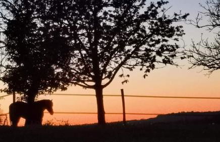 Les gîtes de la nouvelle vie - Foto 35